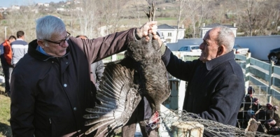 Miliarderët e Rilindjes dhe pensionistët me gjysmagjel