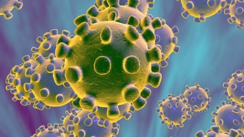 Koronavirusi/ Të gjitha faktet, shtrirja dhe vdekjet e deritanishme