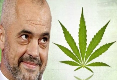 Tritan shehu: "Kanabisi “mjekesor”, gjethja e “fikut” per “Republiken e Kanabisit!"