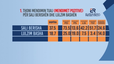 Sondazh/73.5% e demokratëve kanë mendim pozitiv për Sali Berishën