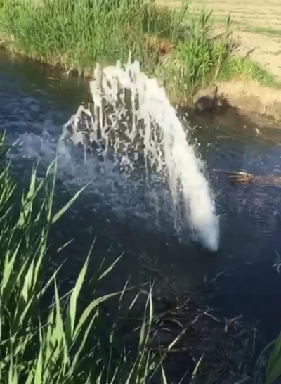 Shengjini furnizohet me ujra te perziera te zeza!Berisha:Rrezik i larte epidemie!Narko-kryetari monist nuk do t'ia dije.