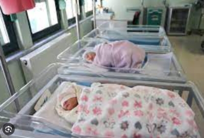 16 mijë lindje, 15 mijë vdekje, këto janë qarqet që po plaken më shpejt në Shqipëri