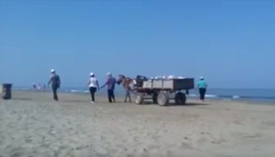 Video/ Skandal në plazhin e Darzezës/ Plehrat merren me kuaj si në vitet ‘50