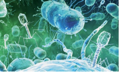 Antibiotikët po humbasin fuqinë, bakteret gjithnjë e më rezistente