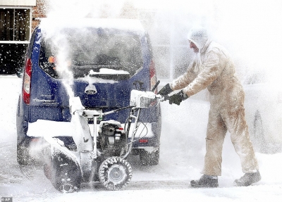 Amerika Veriore pushtohet nga acari