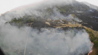 Shkrumbimi i pyjeve në Amazonë, OKB plas alarmin