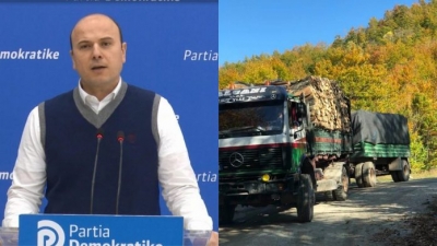 Vazhdon masakra ndaj pyjeve në Librazhd/ Malltezi zbulon tenderin…