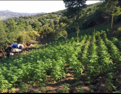 EMRAT/ &#039;U kapën me një sasi të madhe droge, të afërmit e Tahirit dhe Çipës priten të lirohen